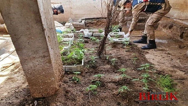 Uyuşturucu Madde İmal ve Ticaret Yerine Baskın