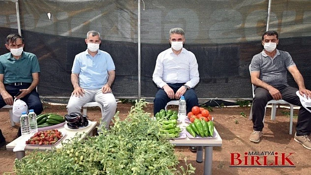 Vali Baruş, Tarımsal Üretim Seracılık Alanında Gezdi