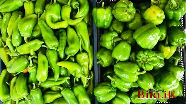 Verimli Topraklarımızdan Bereketli Ürünler Topluyoruz