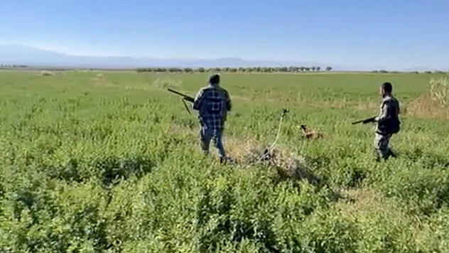 Yangınların Ardından Avlaklar Kapandı, Avcılar Çözüm Bekliyor