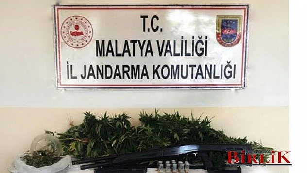 Yasa Dışı Kenevir Ekimi Operasyonu