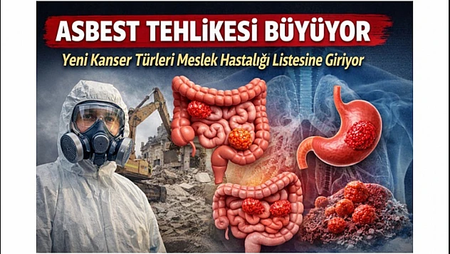 Yeni Bilimsel Rapor: Asbestin Etkisi Sindirim Sistemine Kadar Uzandı