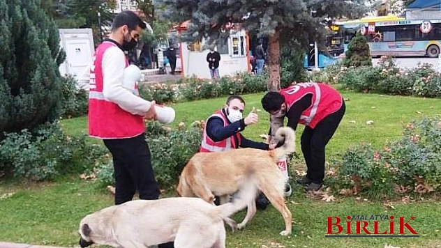 Yeniden Refah Partisi,  Anlamlı Davranışa Anlamlı Yardım