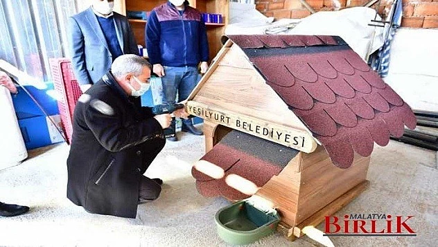 Yeşilyurt Belediyesi, Sokak Hayvanları İçin Örnek Bir Proje Geliştirdi