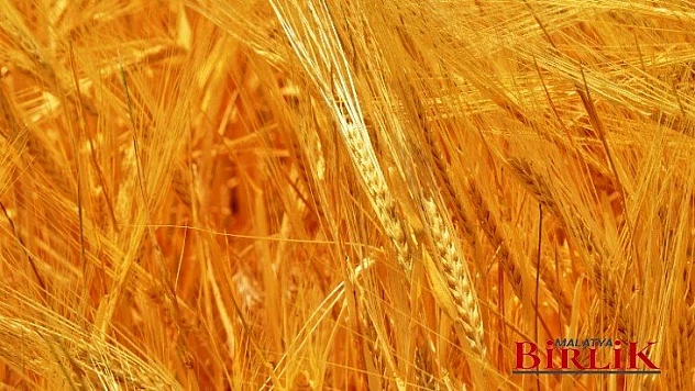 Yeşilyurt Belediyesi Tarımsal Üretim ve Ar-Ge Sahasında Üretimler Hız Kazandı