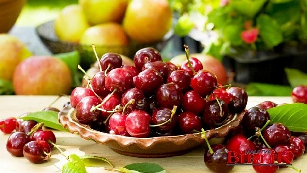 Yeşilyurt Dalbastı Kirazının Coğrafi İşaret Tescil Belgesi Yeşilyurt Belediyesine Devr Edildi