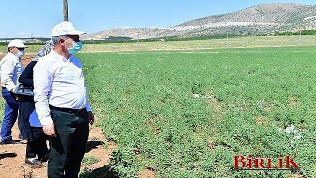 Yeşilyurt'ta Tarımsal Üretim Ve Ar-Ge Sahası Kurdu