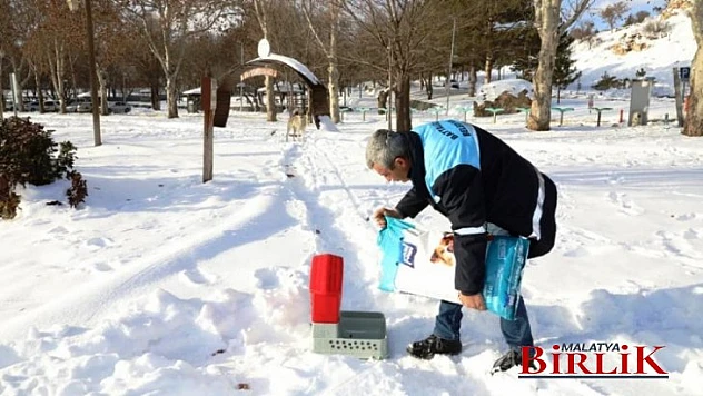 Yoğun Karda Battalgazi'deki Can Dostlar Unutulmadı