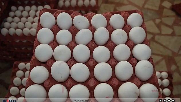 Yumurta Fiyatlarında Büyük Artış: Bir Koli 200 TL'yi Aştı