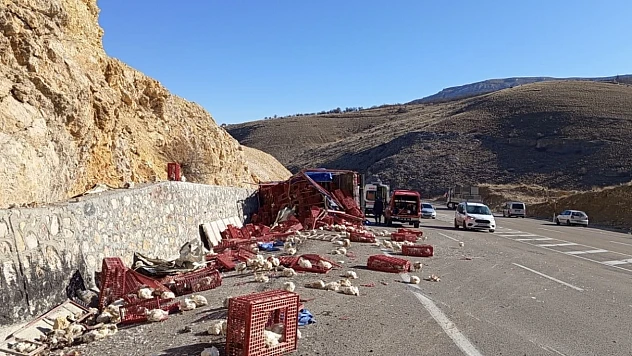 Yüzlerce Tavuk Telef Oldu, Sürücü Yaralandı: Akçadağ'da Kaza