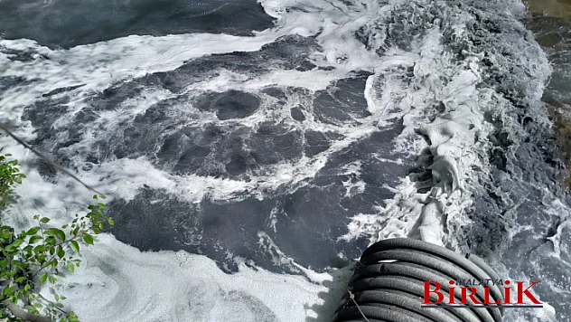 Zehir Akıyor... Mesire Alanında ki Bu Görüntüler Şahnahanlıları Korkuttu