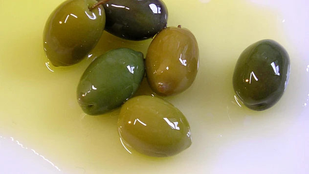 Zeytin Dalından Rekor Gelir