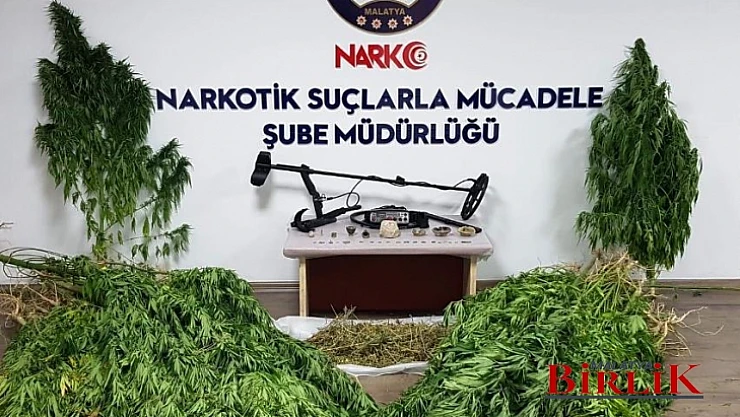 97 Kök Hint Keneviri Yakalandı