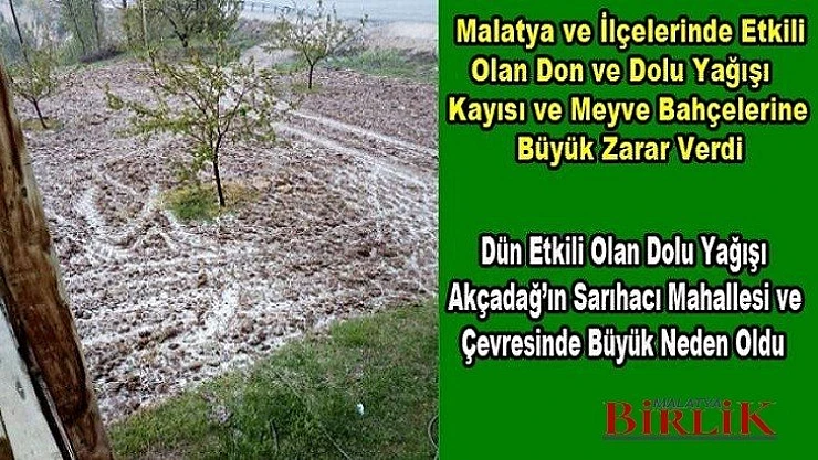 Akçadağ'ın Bazı Mahallelerinde Kayısı Bahçelerini Dolu Vurdu