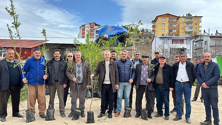 Arapgir'de Badem Fidanı Dağıtımı Başladı