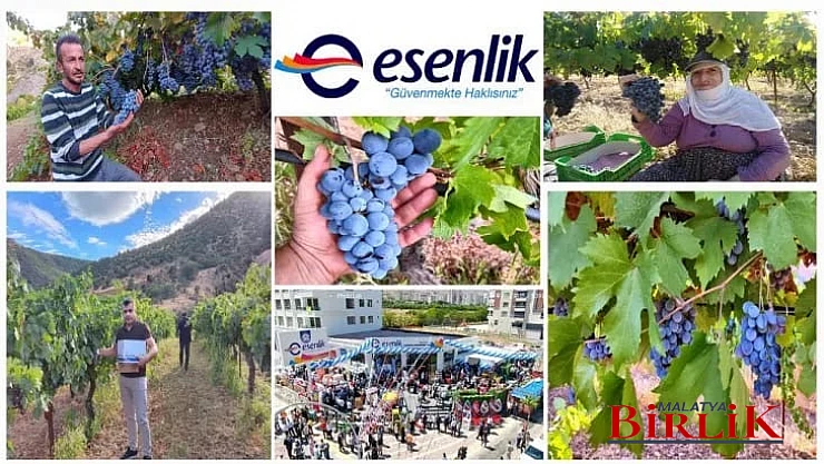 Arapgir'in Meşhur Köhnü Üzümü Esenlik Süpermarketlerde