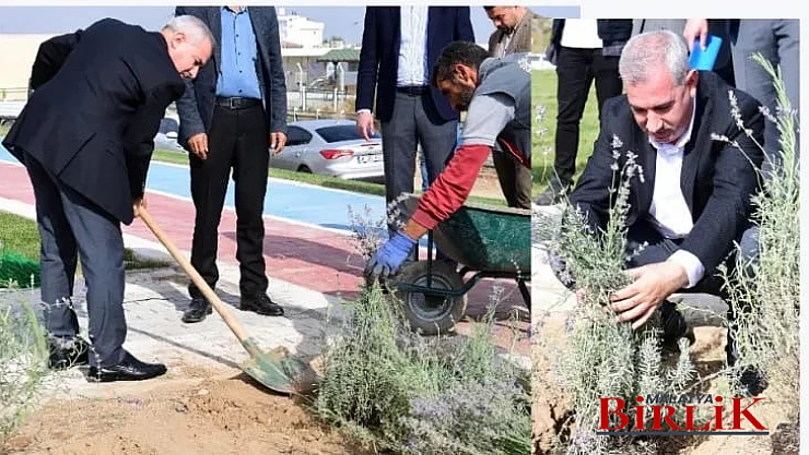 Başkan Çınar, Bostanbaşı Mahallesindeki Lavanta Parkı İnceledi