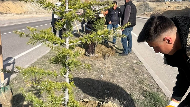 Başkan M. Şerif Yıldırım Çalışıyor, Hekimhan Güzelleşiyor