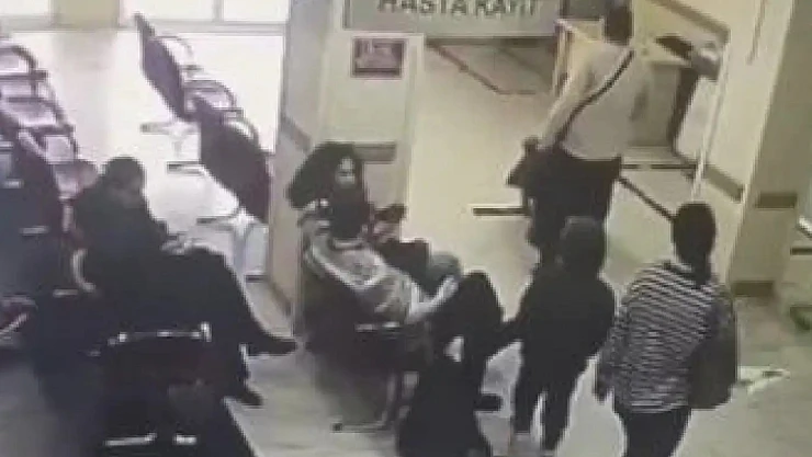 Böcek Ailesinin Şüpheli Ölümü: Otel Çalışanı ve İlaçlama Ekibi Tutuklandı