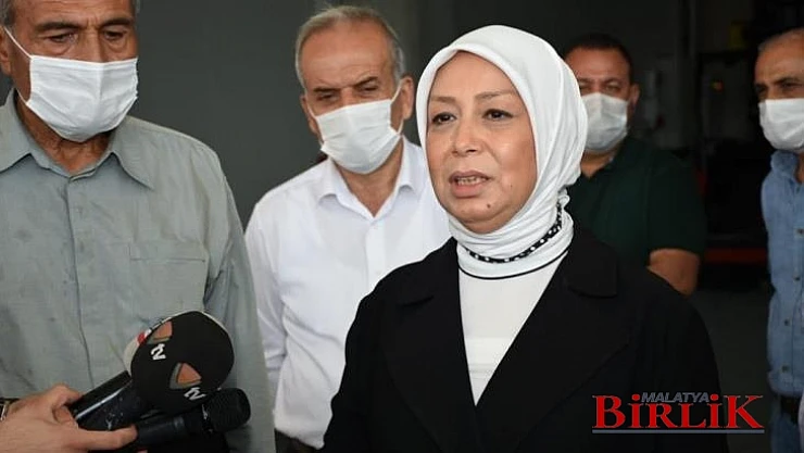 Çalık, TMO'nun Kayısıdaki Müdahale Alımları İhracata Ciddi Katkı Sunacak