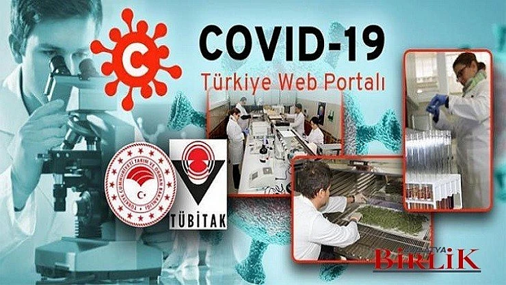 COVİD-19 Türkiye Web Portalına Destek