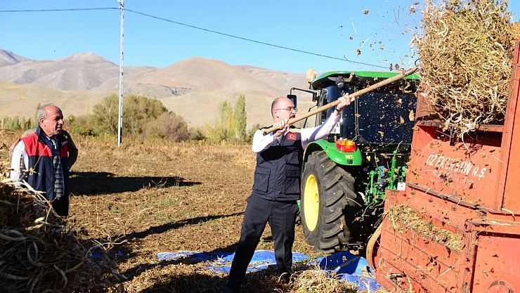 Doğanşehir'in Marka Değeri: Okan Kuru Fasulyesi Tarlalardan Sofralara Ulaştı