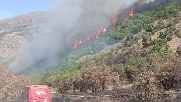 Doğanyol'da Orman Yangını