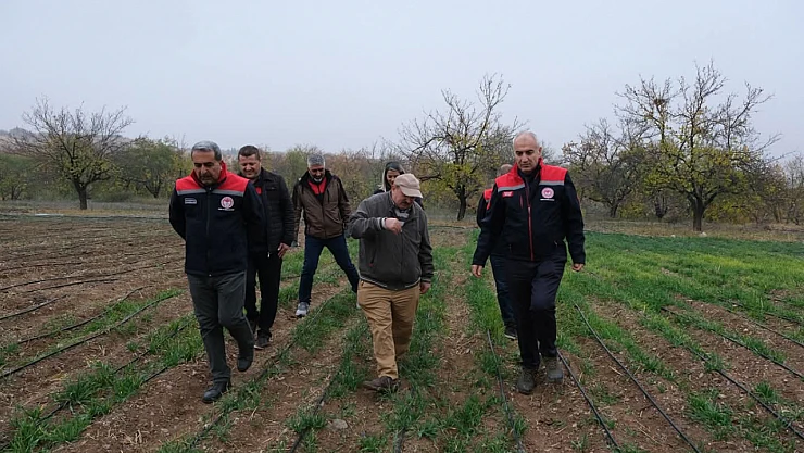 Dünya kayısı başkenti Malatya'da safran üretimi