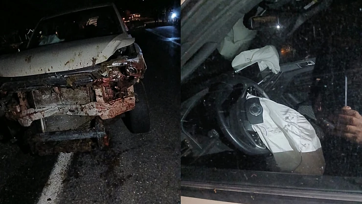 Elazığ'da Balık Şirketine Ait Araç Koyun Sürüsüne Çarptı