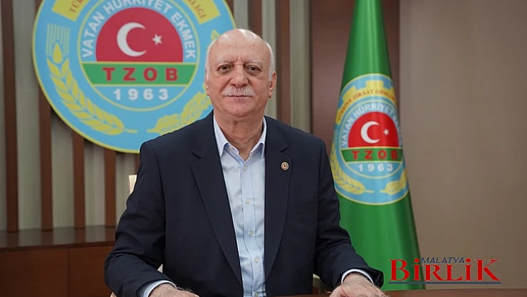 Fındıkta Hasat Vakti Geldi