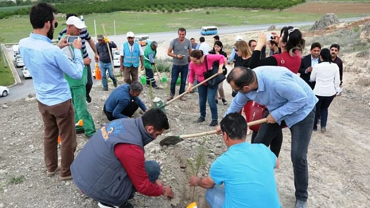 Bin Adet Fidan Toprakla Buluşturuldu