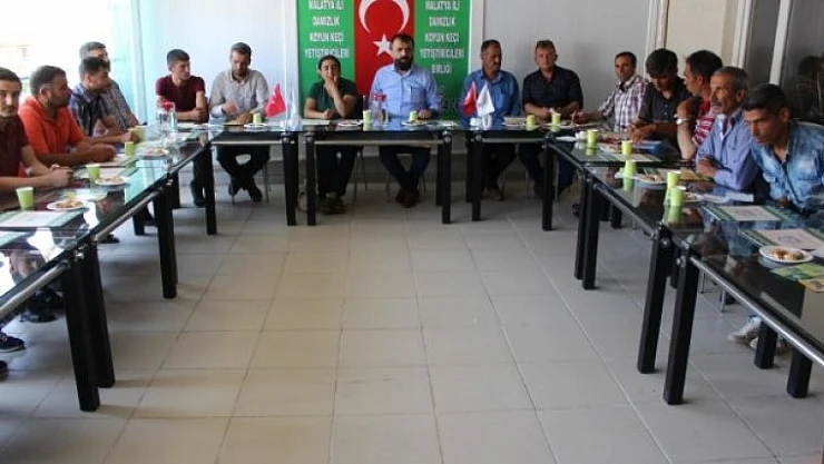 'Koyun Kırkım' Kursu