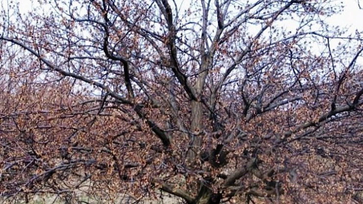 Konak Mahalle Sakinleri Derme Sulama Birliğine Tepki Gösterdi