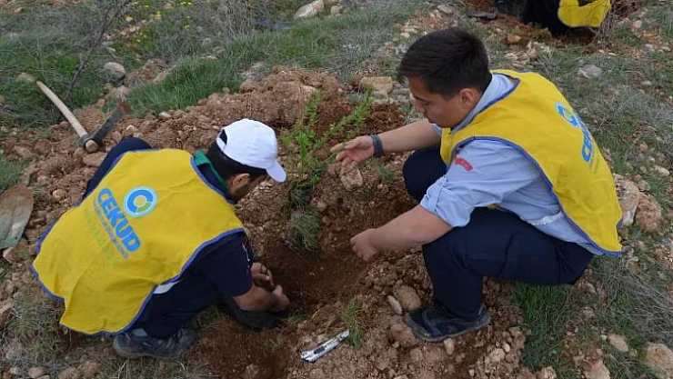 ÇEKUD'dan Fidan Dikme Etkinliği