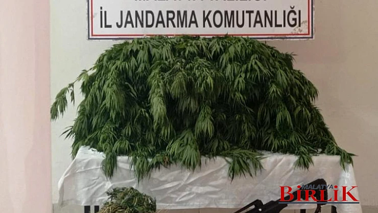 Jandarma Göz Açtırmıyor