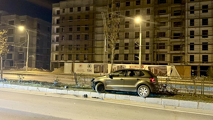 Köpeğe Çarpan Otomobil Kontrolden Çıkıp Refüje Çarptı