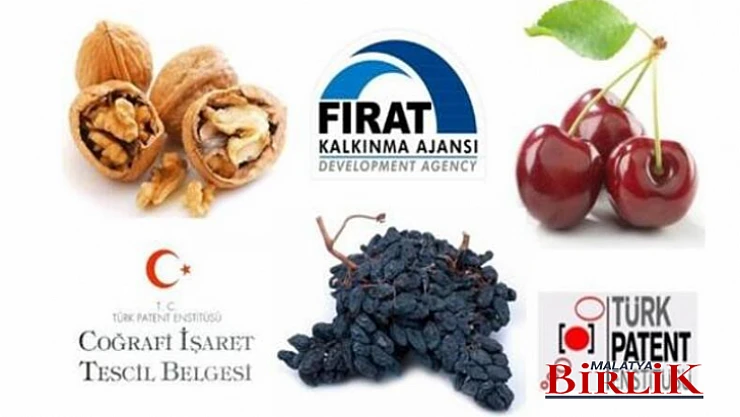 Malatya Banazı Karası Üzümü Coğrafi İşaret Olarak Tescillendi