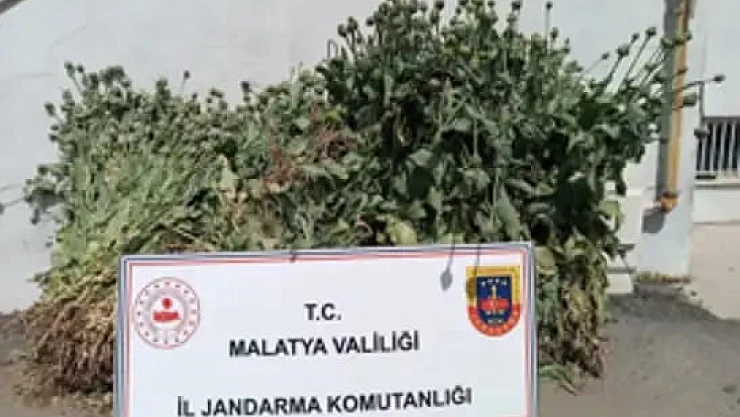 Malatya'da 18'i Kesinleşmiş Hapis Cezası Bulunan 30 Kişi Yakalandı