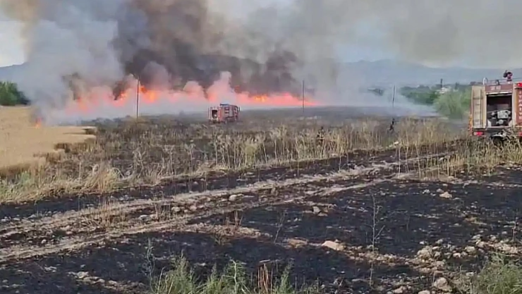 Malatya'da 41 Noktada Yangın Çıktı