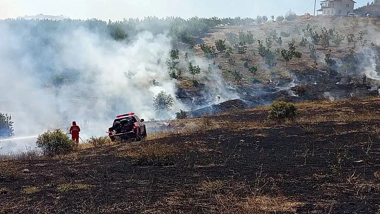 Malatya'da Bir Orman Yangını Daha