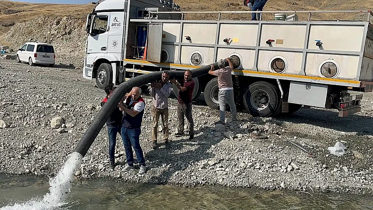 Malatya'da İç Sulara 1 Milyon 73 Bin Yavru Sazan Bırakıldı