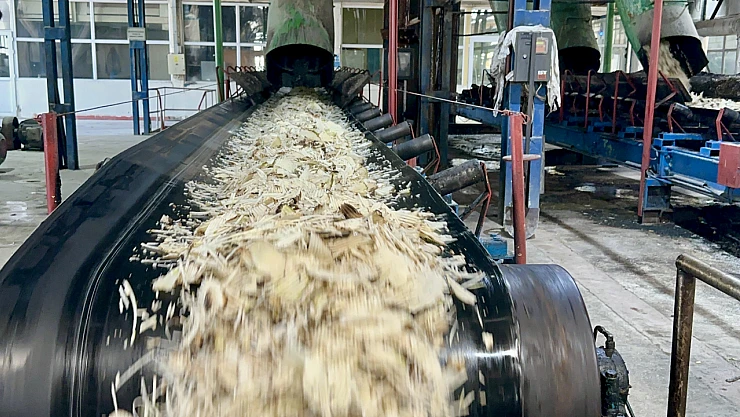 Malatya'da Pancar Üretimi Çiftçinin Yüzünü Güldürdü