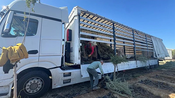 Malatya Kırsalı İçin Büyük Adım: 2 Milyon Fidanlık Mera Projesi Devrede