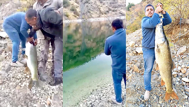 Oltaya Takılan Dev Balık Kamerada: Balıkçılar Şaşkın