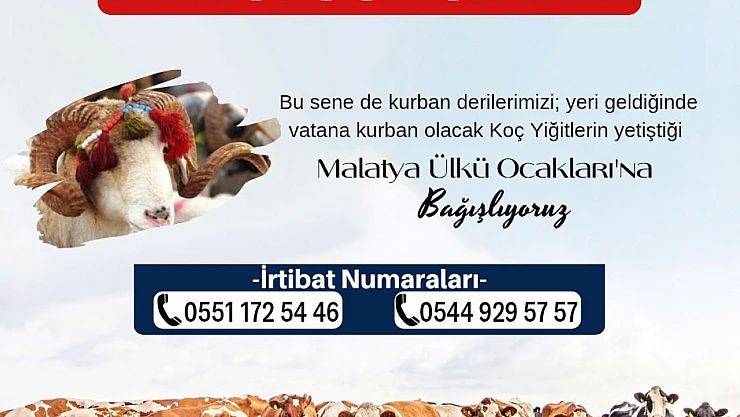 'Sevabı Ocağınıza, Derisi Ocağımıza' Çağrısı