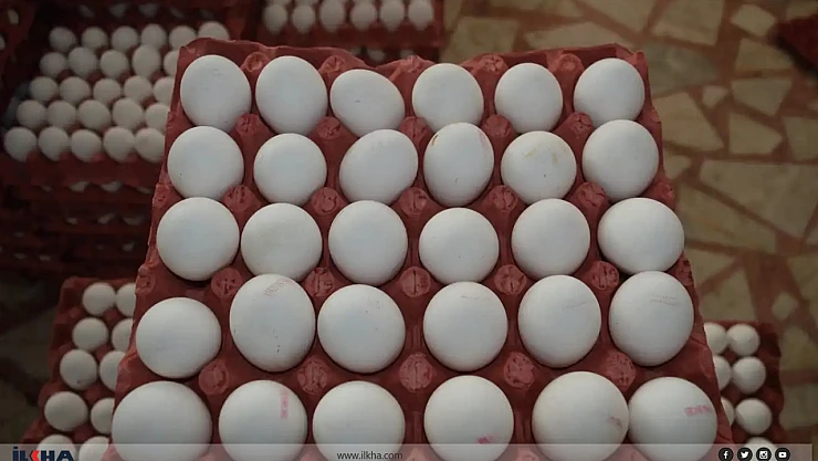 Yumurta Fiyatlarında Büyük Artış: Bir Koli 200 TL'yi Aştı