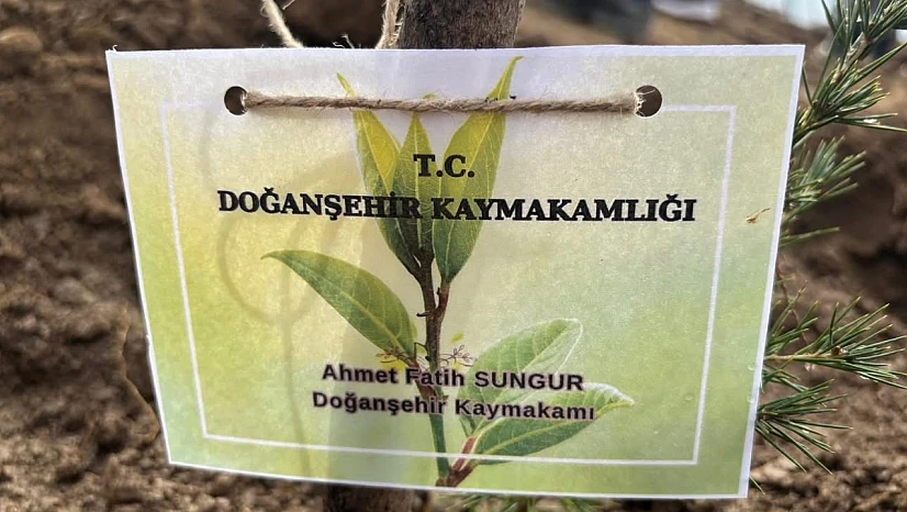 Doğanşehir'de ÖNEM Projesi Kapsamında Fidan Dikim Etkinliği Gerçekleştirildi