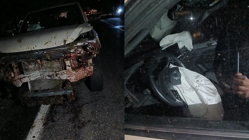 Elazığ'da Balık Şirketine Ait Araç Koyun Sürüsüne Çarptı