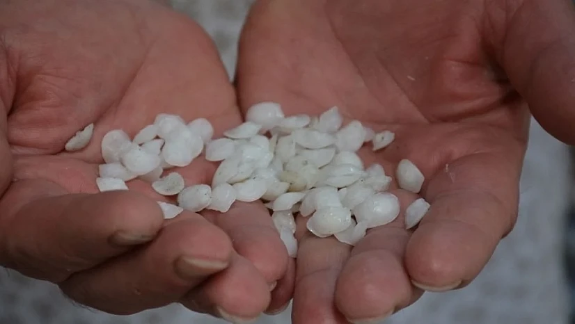 Eşkina Balığı Taşı Mucizesi