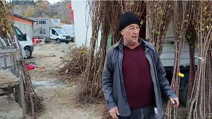 Kayısı Fidanı Talebi Artıyor: Üretici Yatırımdan Vazgeçmiyor